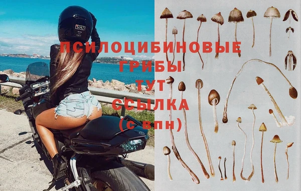 ALPHA PVP Бородино